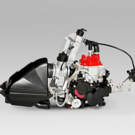 Abbildung Rotax 125 Mini MAX Motor