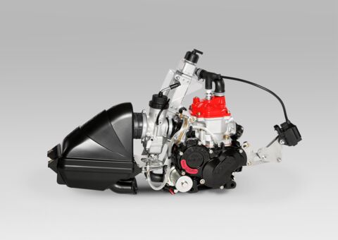Rotax Karting Motor